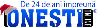 Logo Onesti Online