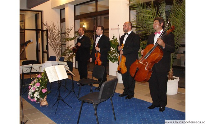 Concert