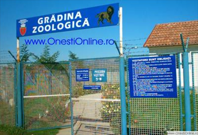Gradina zoologica 01 - Arhiva 2005